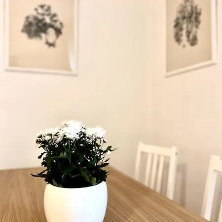 Appartement Elegante In Centro *
