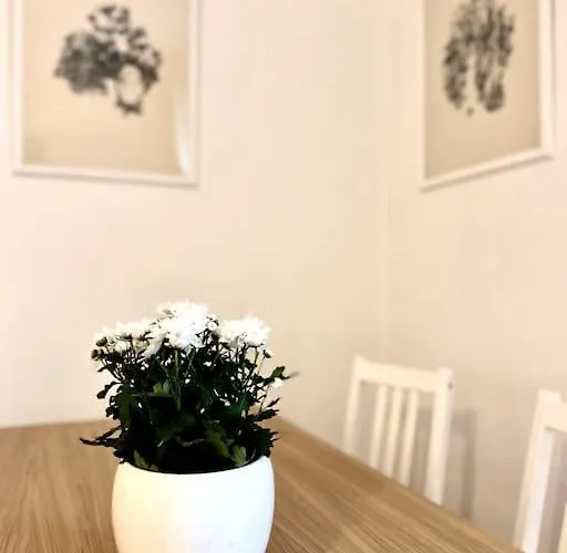 Apartament Elegante In Centro *